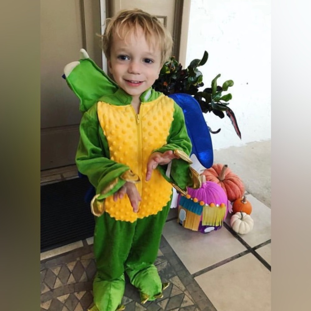 2T Dragon Halloween Costume